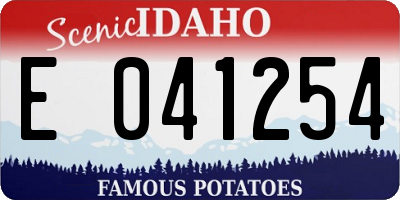 ID license plate E041254