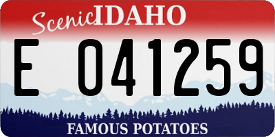 ID license plate E041259