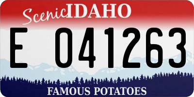 ID license plate E041263