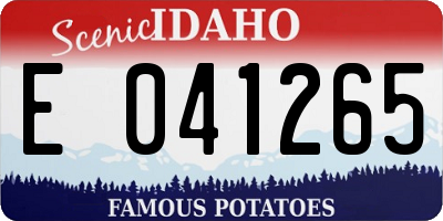 ID license plate E041265