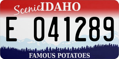 ID license plate E041289