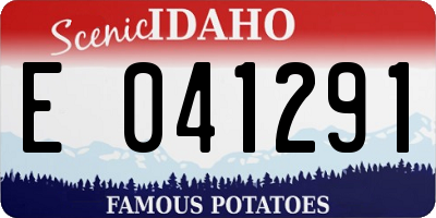 ID license plate E041291