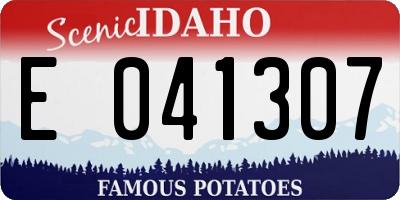 ID license plate E041307