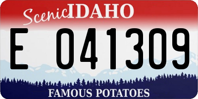 ID license plate E041309