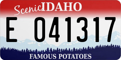 ID license plate E041317