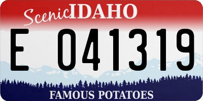 ID license plate E041319