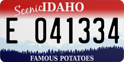 ID license plate E041334