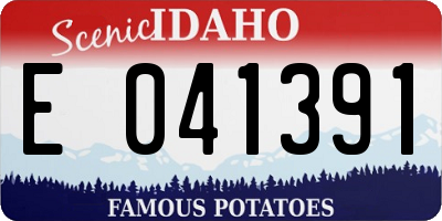 ID license plate E041391