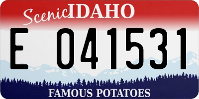ID license plate E041531