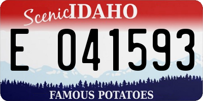 ID license plate E041593