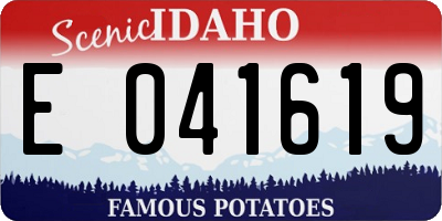 ID license plate E041619