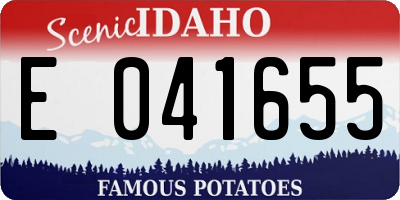 ID license plate E041655