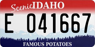 ID license plate E041667