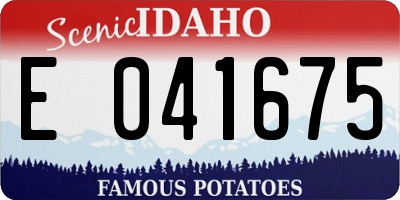 ID license plate E041675