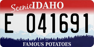 ID license plate E041691