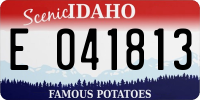 ID license plate E041813