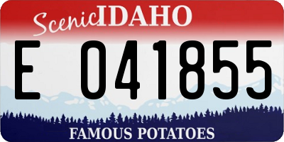 ID license plate E041855