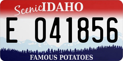 ID license plate E041856