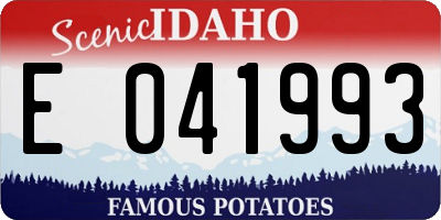 ID license plate E041993