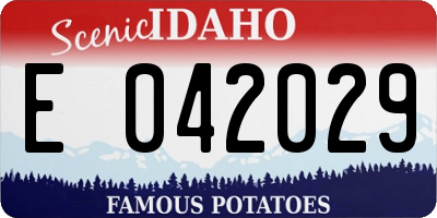 ID license plate E042029