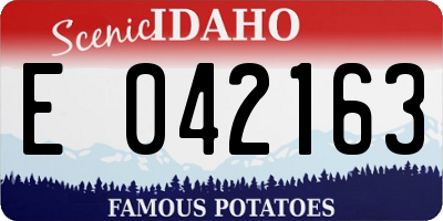 ID license plate E042163