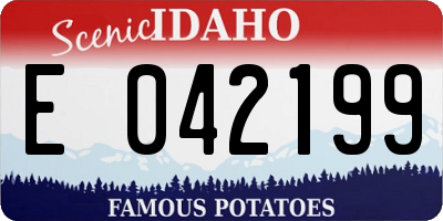 ID license plate E042199