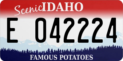 ID license plate E042224