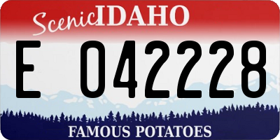 ID license plate E042228