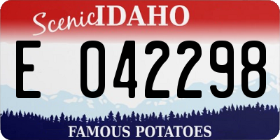 ID license plate E042298