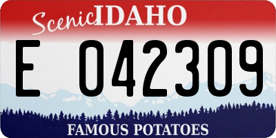 ID license plate E042309