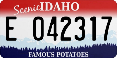 ID license plate E042317