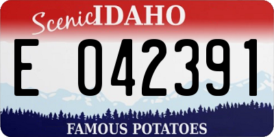 ID license plate E042391