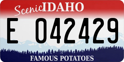 ID license plate E042429