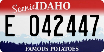 ID license plate E042447