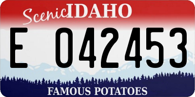 ID license plate E042453