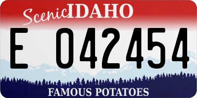 ID license plate E042454
