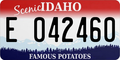 ID license plate E042460