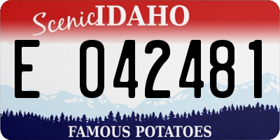ID license plate E042481