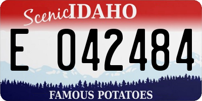 ID license plate E042484
