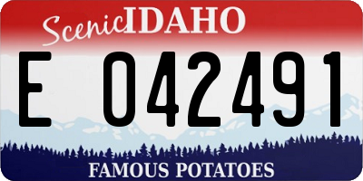 ID license plate E042491