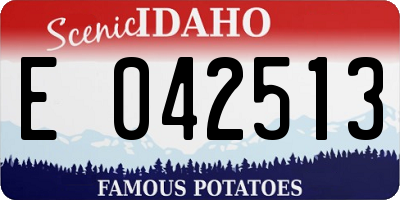 ID license plate E042513