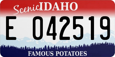 ID license plate E042519
