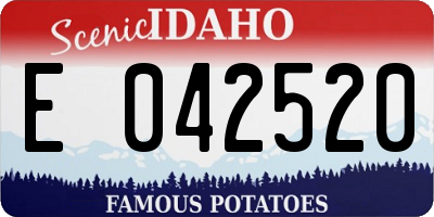 ID license plate E042520