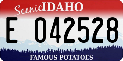 ID license plate E042528