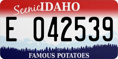ID license plate E042539