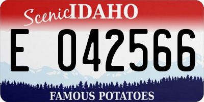 ID license plate E042566