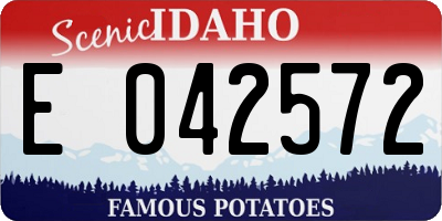 ID license plate E042572