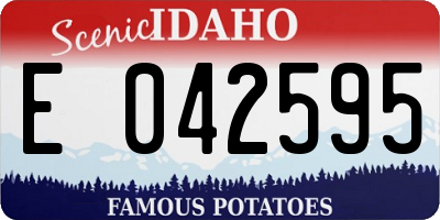 ID license plate E042595
