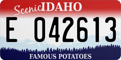 ID license plate E042613