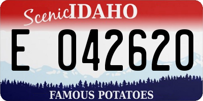 ID license plate E042620